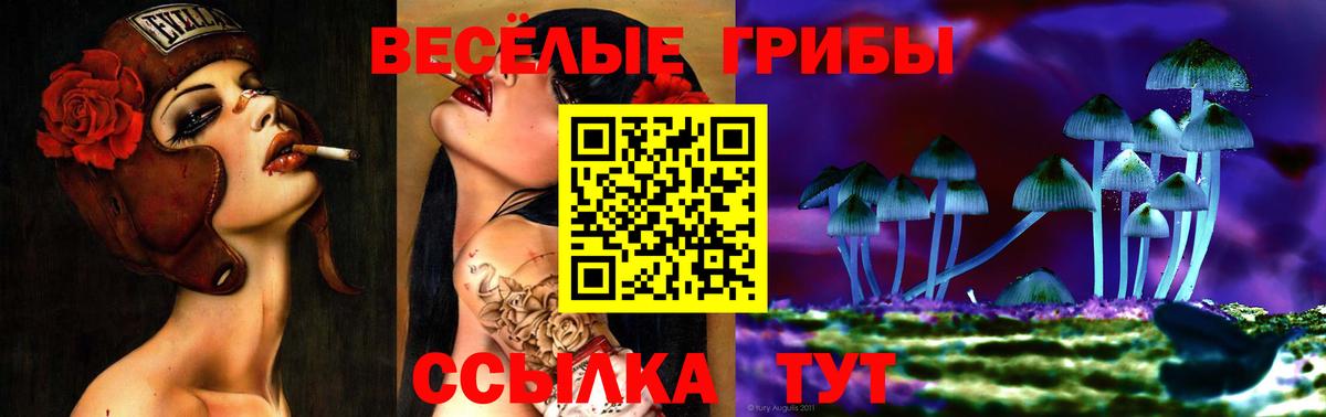 Медногорск  Галлюциногенные грибы Psilocybe  Вход с VPN 