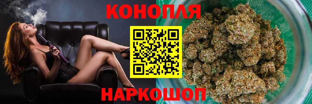Канабис сатива Медногорск